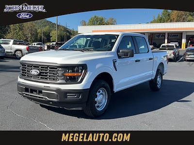 2024 Ford F-150 SuperCrew Cab 4x4, Pickup for sale #T62330 - photo 1