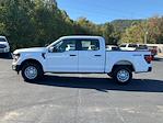 2024 Ford F-150 SuperCrew Cab 4x4, Pickup for sale #T62330 - photo 8