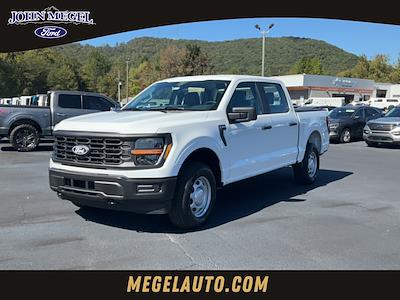 2024 Ford F-150 SuperCrew Cab 4x4, Pickup for sale #T62332 - photo 1