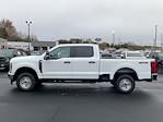 2024 Ford F-350 Crew Cab SRW 4x4, Pickup for sale #T62418 - photo 8