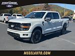 2024 Ford F-150 SuperCrew Cab 4x4, Pickup for sale #T62463 - photo 1