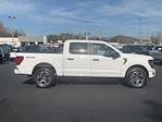 2024 Ford F-150 SuperCrew Cab 4x4, Pickup for sale #T62590 - photo 5