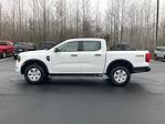 New 2024 Ford Ranger XL SuperCrew Cab 4x4, Pickup for sale #T62838 - photo 8