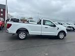 2024 Ford F-150 Regular Cab RWD, Pickup for sale #CF1572 - photo 10