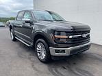 2024 Ford F-150 SuperCrew Cab 4x4, Pickup for sale #HF2414 - photo 3