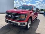 New 2024 Ford F-150 XLT SuperCrew Cab 4x4, Pickup for sale #HF2565 - photo 5