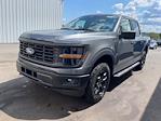 New 2024 Ford F-150 STX SuperCrew Cab 4WD, Pickup for sale #HF2713 - photo 6