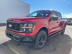 New 2024 Ford F-150 STX SuperCrew Cab 4x4, Pickup for sale #HF2786 - photo 6