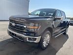 New 2024 Ford F-150 XLT SuperCrew Cab 4x4, Pickup for sale #HF2816 - photo 6