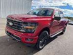 New 2024 Ford F-150 XLT SuperCrew Cab 4WD, Pickup for sale #HF2919 - photo 6