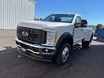 New 2024 Ford F-450 XL Regular Cab RWD, Pickup for sale #HF2935 - photo 6