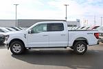 New 2024 Ford F-150 XLT SuperCrew Cab 4WD, Pickup for sale #HF3038 - photo 5