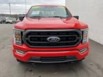 Used 2023 Ford F-150 XLT SuperCrew Cab 4WD, Pickup for sale #HFP1382 - photo 6