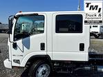 New 2024 Isuzu NPR-HD Crew Cab 4x2, Cab Chassis for sale #54DC4J1D7RS212416 - photo 8