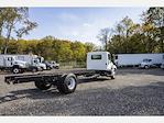 New 2025 Hino L6 Day Cab 4x2, Cab Chassis for sale #5PVNJ7AV5S5T60859 - photo 5