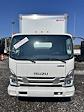 New 2024 Isuzu NQR Regular Cab 4x2, Morgan Truck Body Box Truck for sale #RS500003 - photo 11