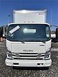 New 2024 Isuzu NQR Regular Cab 4x2, Morgan Truck Body Box Truck for sale #RS500003 - photo 28