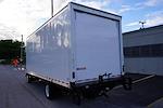 Used 2023 Isuzu NQR Regular Cab 4x2, Morgan Truck Body Box Truck for sale #900647 - photo 13