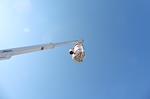 Used 2008 Ford F-350 Regular Cab 4x2, Altec Industries Inc. Bucket Truck for sale #A187 - photo 44