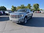 New 2024 GMC Sierra 1500 Denali Crew Cab 4x4, Pickup for sale #1N1436 - photo 1