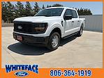 New 2024 Ford F-150 XL SuperCrew Cab 4WD, Pickup for sale #FD01825 - photo 1