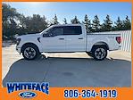 New 2024 Ford F-150 STX SuperCrew Cab 4WD, Pickup for sale #FD02670 - photo 5