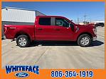 Used 2021 Ford F-150 XLT SuperCrew Cab 4WD, Pickup for sale #FE13818A - photo 8