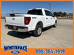 New 2024 Ford F-150 XL SuperCrew Cab 4WD, Pickup for sale #FE16783 - photo 6