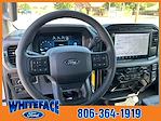 New 2024 Ford F-150 XL SuperCrew Cab 4WD, Pickup for sale #FE16783 - photo 14