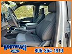 New 2024 Ford F-150 STX SuperCrew Cab 4WD, Pickup for sale #FE19081 - photo 12