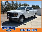 New 2024 Ford F-150 XL Super Cab 4WD, Pickup for sale #FE32694 - photo 1