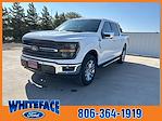 New 2024 Ford F-150 XLT SuperCrew Cab 4WD, Pickup for sale #FE67211 - photo 1