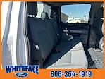 New 2024 Ford F-150 XLT SuperCrew Cab 4WD, Pickup for sale #FE67211 - photo 42