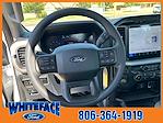 New 2024 Ford F-150 XL Super Cab RWD, Pickup for sale #FE92921 - photo 17