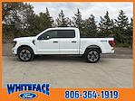 New 2024 Ford F-150 STX SuperCrew Cab 4WD, Pickup for sale #FF08931 - photo 4