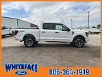 New 2024 Ford F-150 STX SuperCrew Cab 4WD, Pickup for sale #FF08931 - photo 8