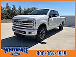 New 2024 Ford F-250 Platinum Crew Cab 4WD, Pickup for sale #FF11842 - photo 7