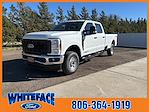 2024 Ford F-250 Crew Cab 4WD, Pickup for sale #FF57424 - photo 3