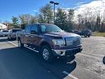 Used 2010 Ford F-150 XLT SuperCrew Cab 4WD, Pickup for sale #4253A - photo 4