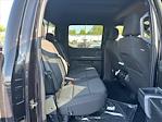 New 2024 Ford F-150 XLT SuperCrew Cab 4WD, Pickup for sale #51R139 - photo 23