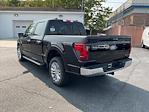 New 2024 Ford F-150 XLT SuperCrew Cab 4WD, Pickup for sale #51R239 - photo 2