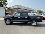 New 2024 Ford F-150 XLT SuperCrew Cab 4WD, Pickup for sale #51R239 - photo 13