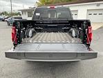 New 2024 Ford F-150 XLT SuperCrew Cab 4WD, Pickup for sale #51R294 - photo 10