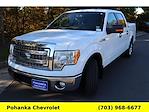 2013 Ford F-150 SuperCrew Cab RWD, Pickup for sale #TRF439614A - photo 4