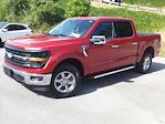 New 2024 Ford F-150 XLT SuperCrew Cab 4x4, Pickup for sale #5N3105 - photo 4