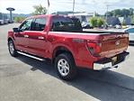 New 2024 Ford F-150 XLT SuperCrew Cab 4x4, Pickup for sale #5N3105 - photo 2