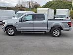 New 2024 Ford F-150 XLT SuperCrew Cab 4x4, Pickup for sale #5N3475 - photo 5