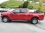 New 2024 Ford F-150 XLT SuperCrew Cab 4x4, Pickup for sale #5N3486 - photo 6