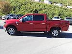 New 2024 Ford F-150 XLT SuperCrew Cab 4x4, Pickup for sale #5N3487 - photo 6