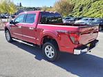 New 2024 Ford F-150 XLT SuperCrew Cab 4x4, Pickup for sale #5N3487 - photo 2